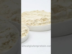 Gluten de trigo vital, Gluten de trigo, Gluten